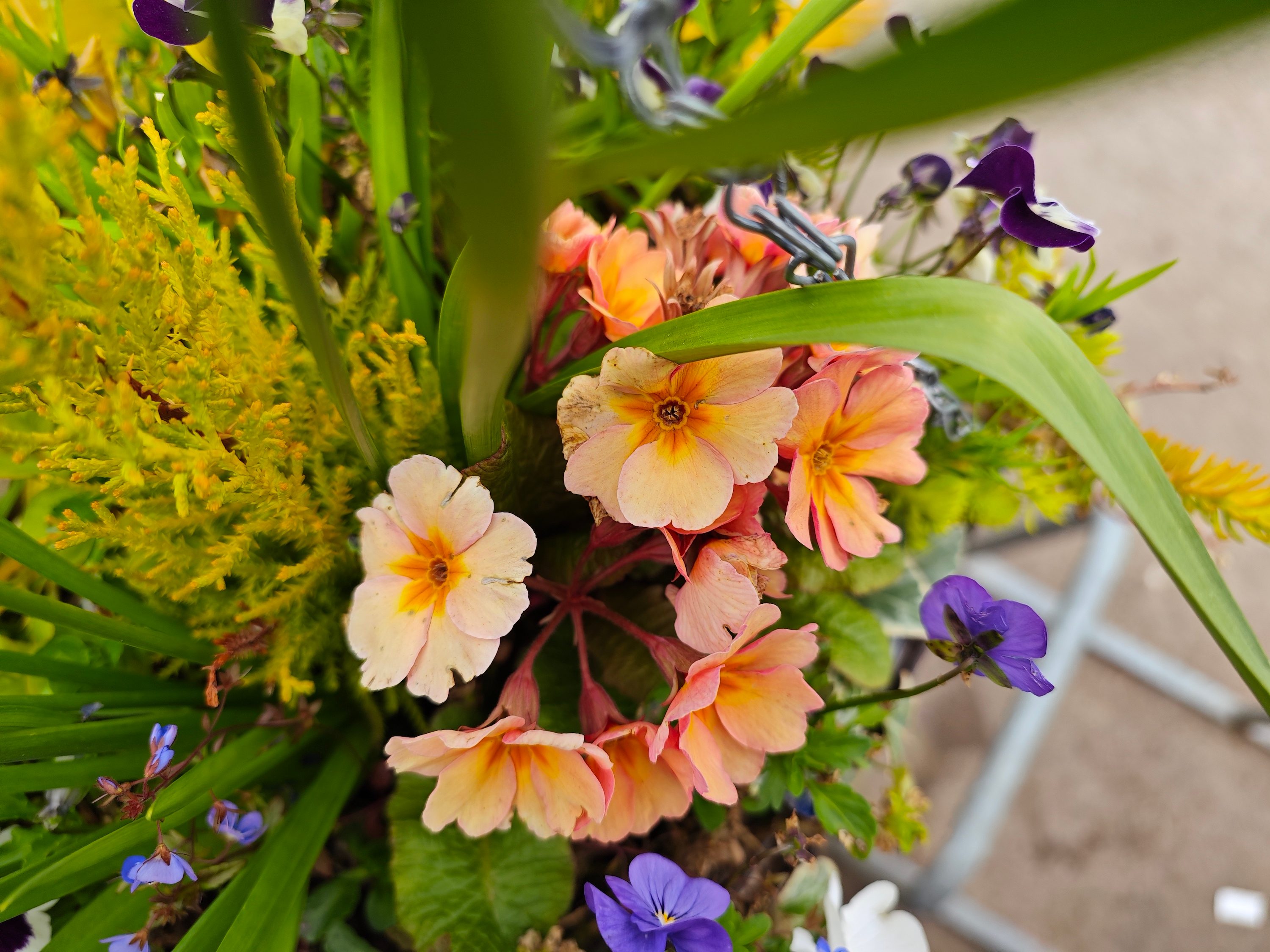 A photo taken with the Xiaomi 13 Ultra's main camera.
