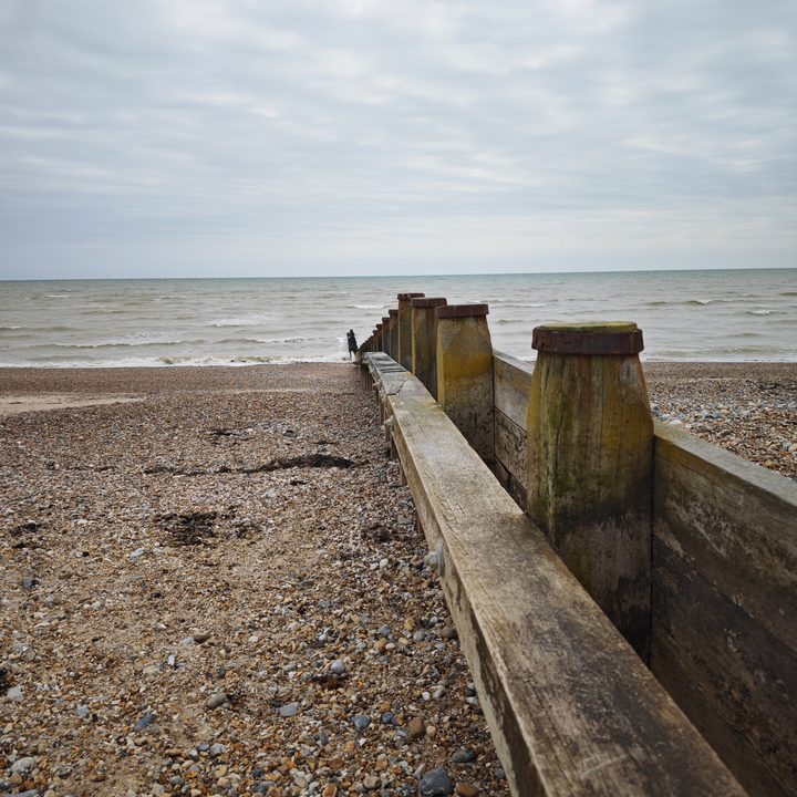 A photo taken with the Xiaomi 13 Ultra's main camera.