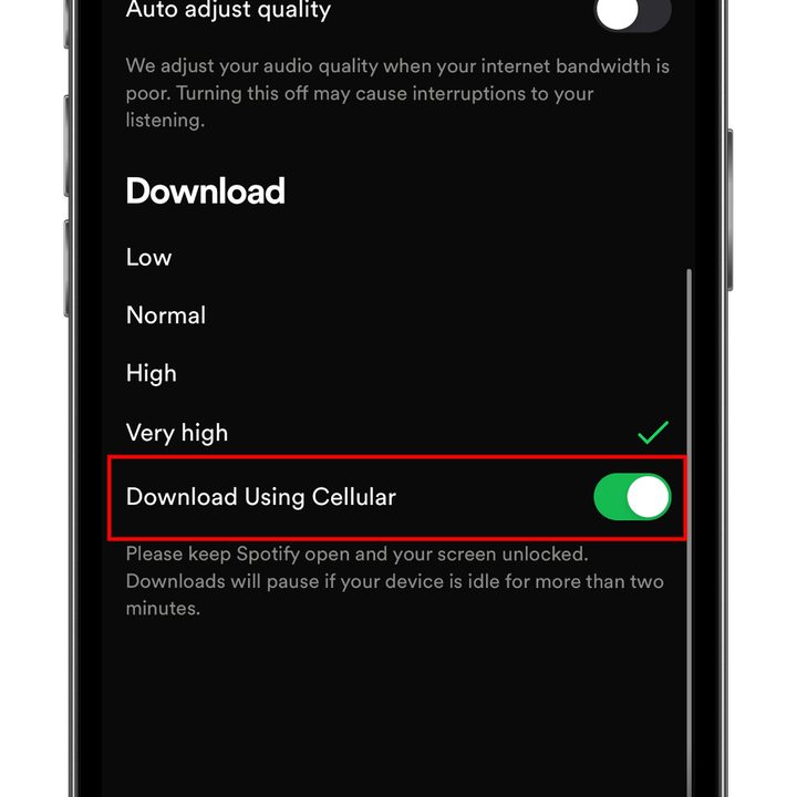 How to download music and podcasts from Spotify: Download over cellular button.