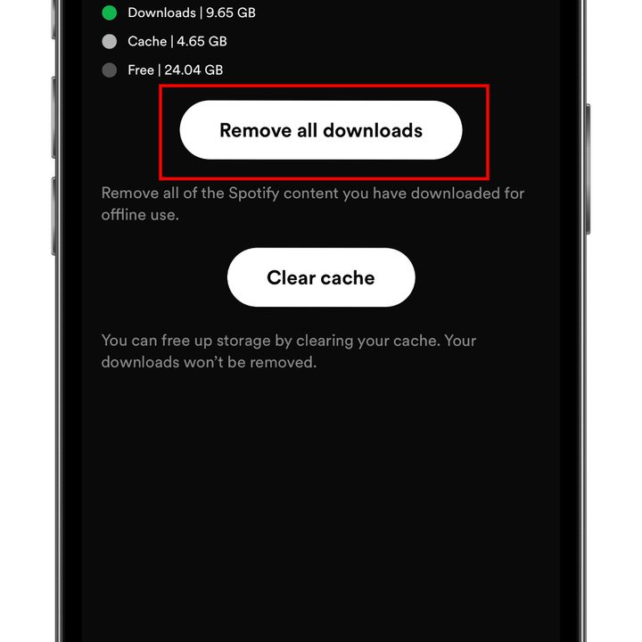 How to download music and podcasts from Spotify: Delete all downloads