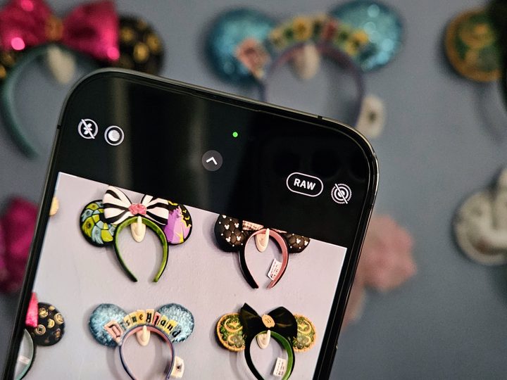 iPhone Camera app RAW toggle.