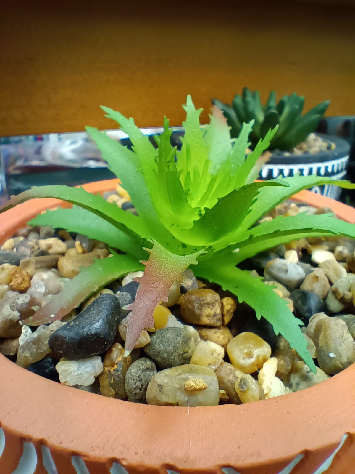 A photo taken of a fake succulent using the Moto G Power 5G's macro lens.