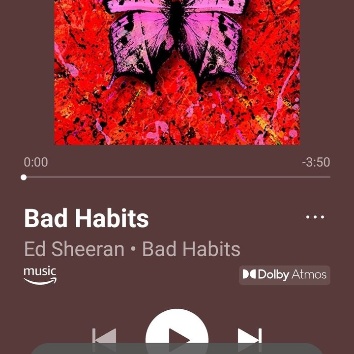 Sonos app showing song not encoded correctly error message.