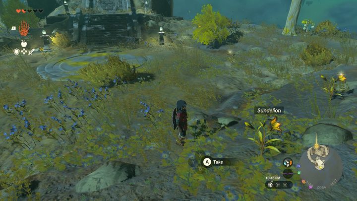 Link standing next to Sundelions in Tears of the Kingdom.