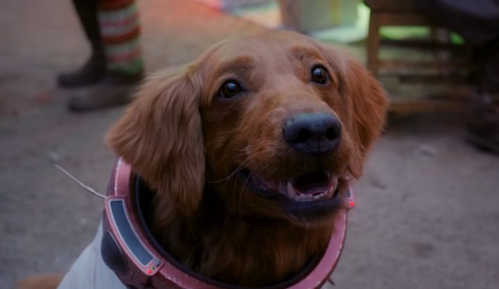 Cosmo in "Guardians of the Galaxy Holiday Special"