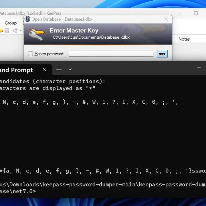 An app used to extract a user's master password from the KeePass password manager app.