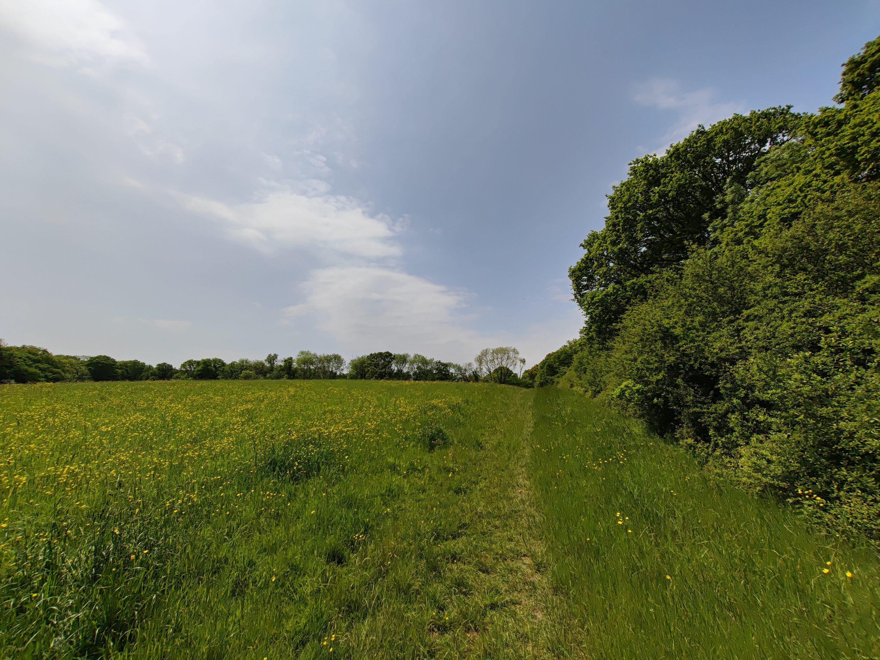 A photo taken with the Honor Magic Vs's wide-angle camera.