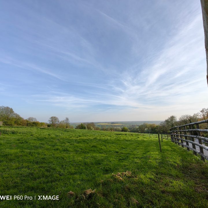 A photo taken with the Huawei P60 Pro using the wide-angle camera.