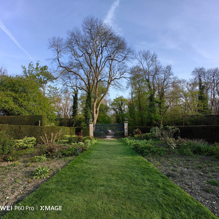 A photo taken with the Huawei P60 Pro using the wide-angle camera.