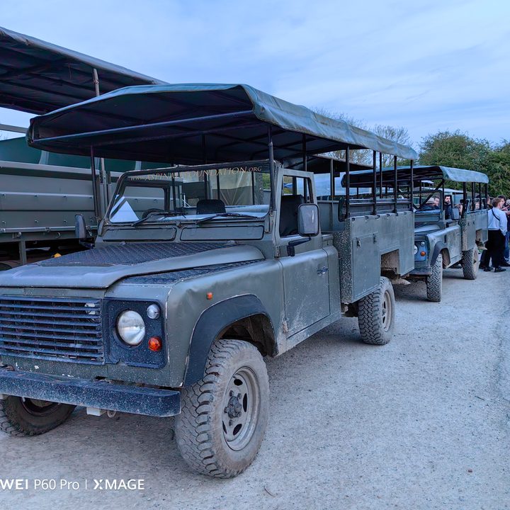 A photo taken with the Huawei P60 Pro using the main camera.