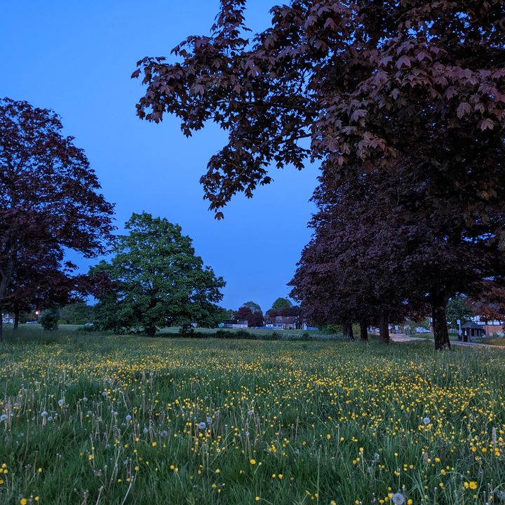 Photo taken with the Pixel 4a's main camera using night mode.