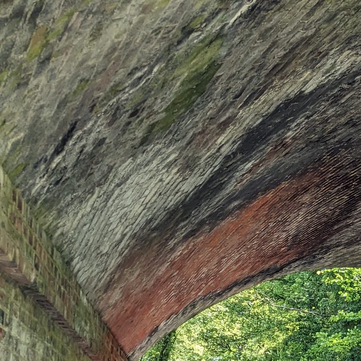 Cropped section of a photo taken with the Pixel 4a.