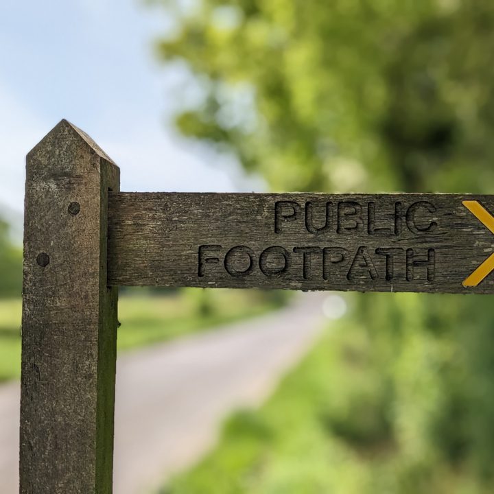 Photo taken with the Pixel 4a's portrait mode.
