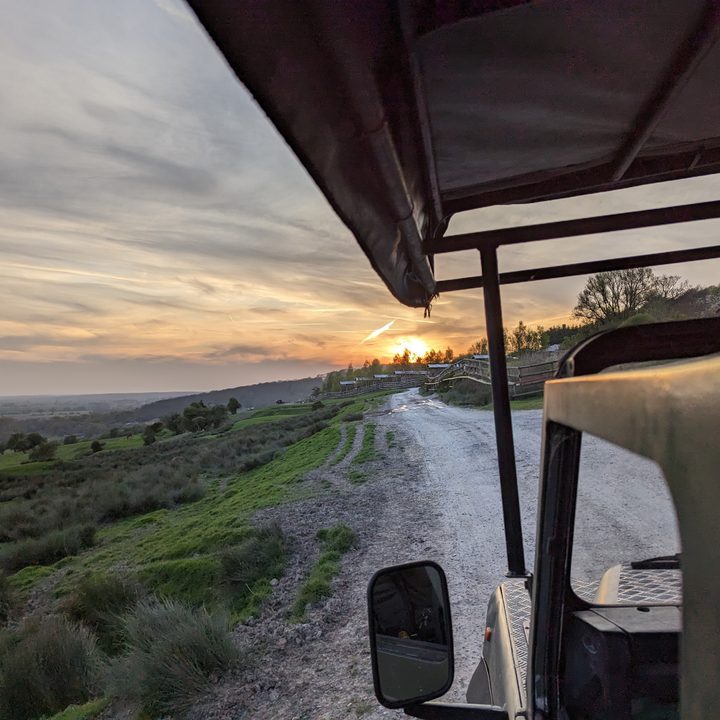 Photo taken with the Pixel 7 Pro's main camera.