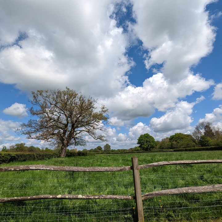 A wide-angle photo taken with the Google Pixel 7.