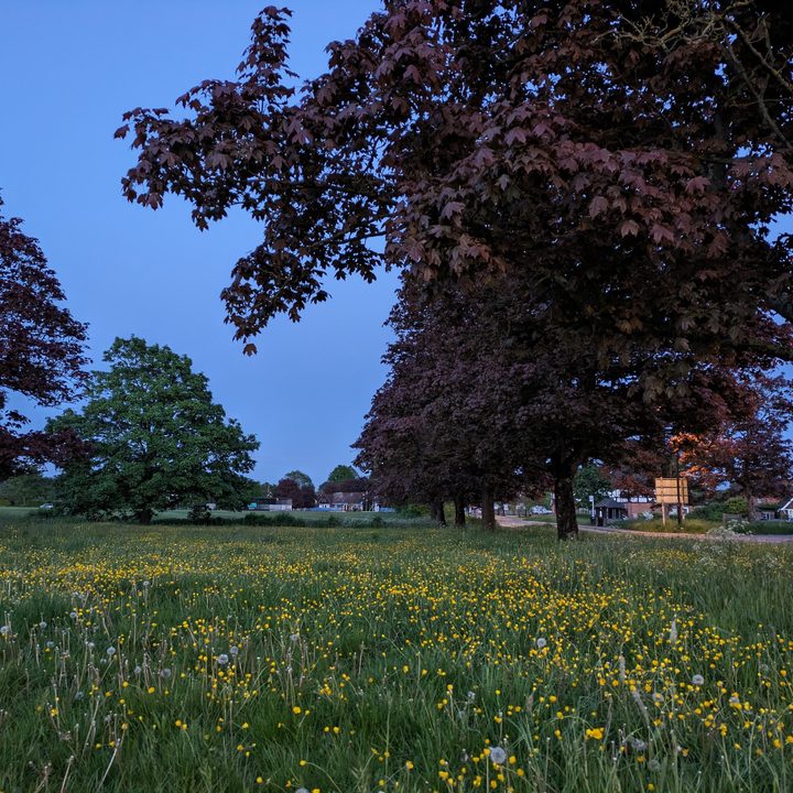 Photo taken with the Pixel 7a's main camera using night mode.