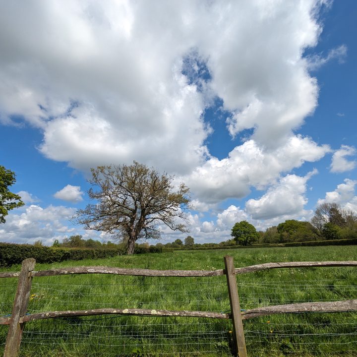 A wide-angle photo taken with the Google Pixel 7a.
