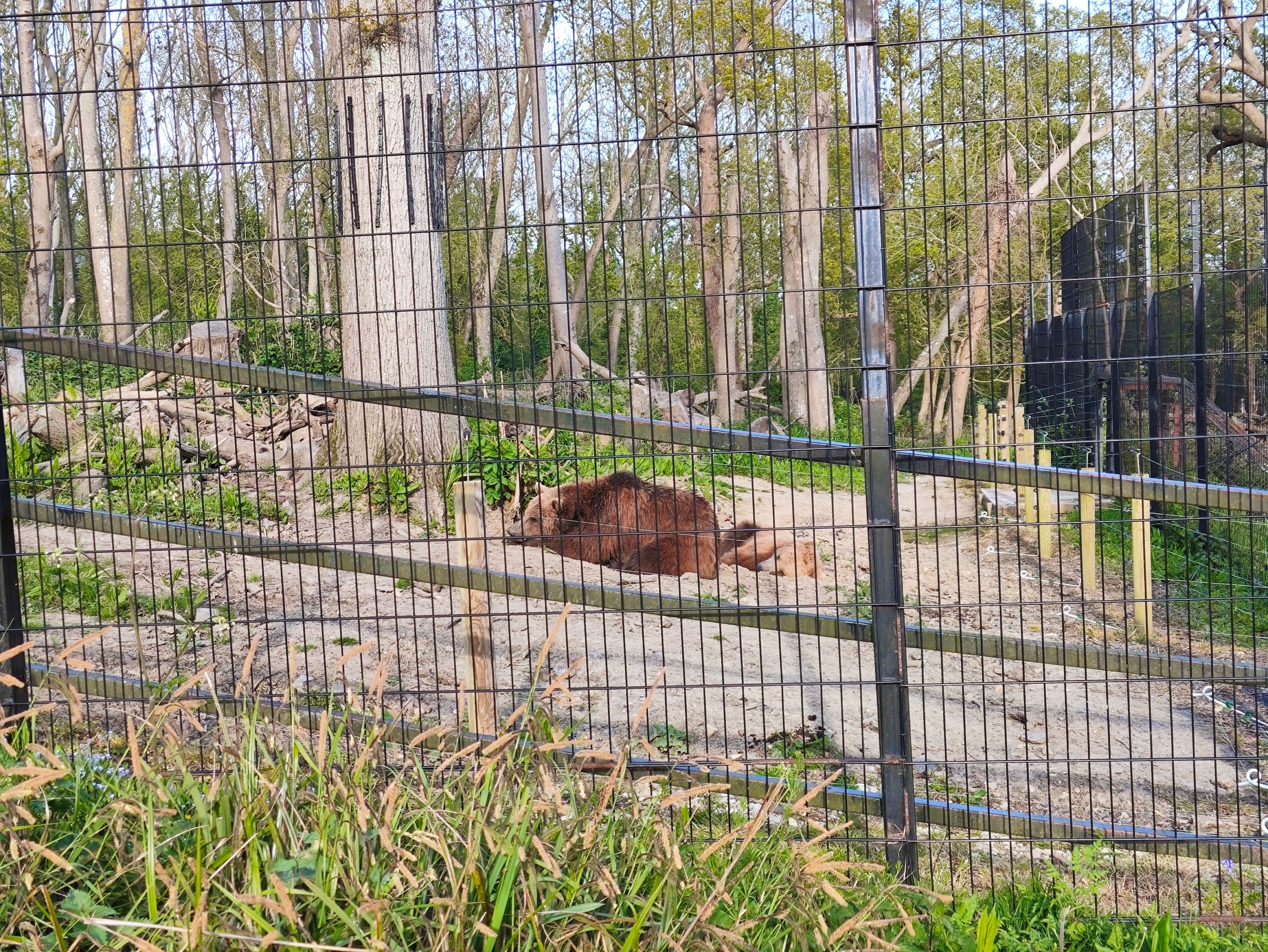 A photo taken with the Poco F5 Pro's 2x zoom mode.
