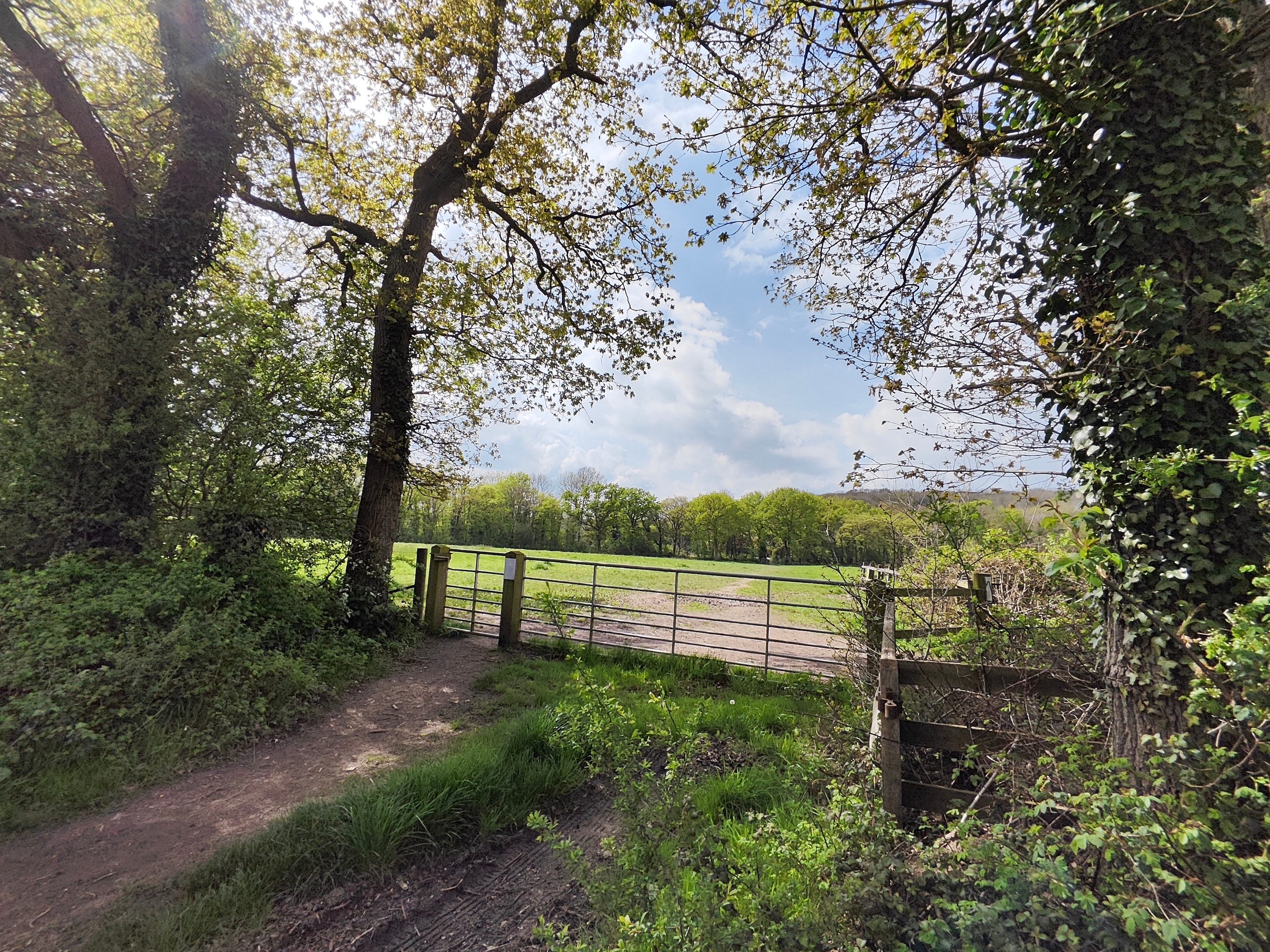 A photo taken with the Poco F5 Pro's wide-angle camera.