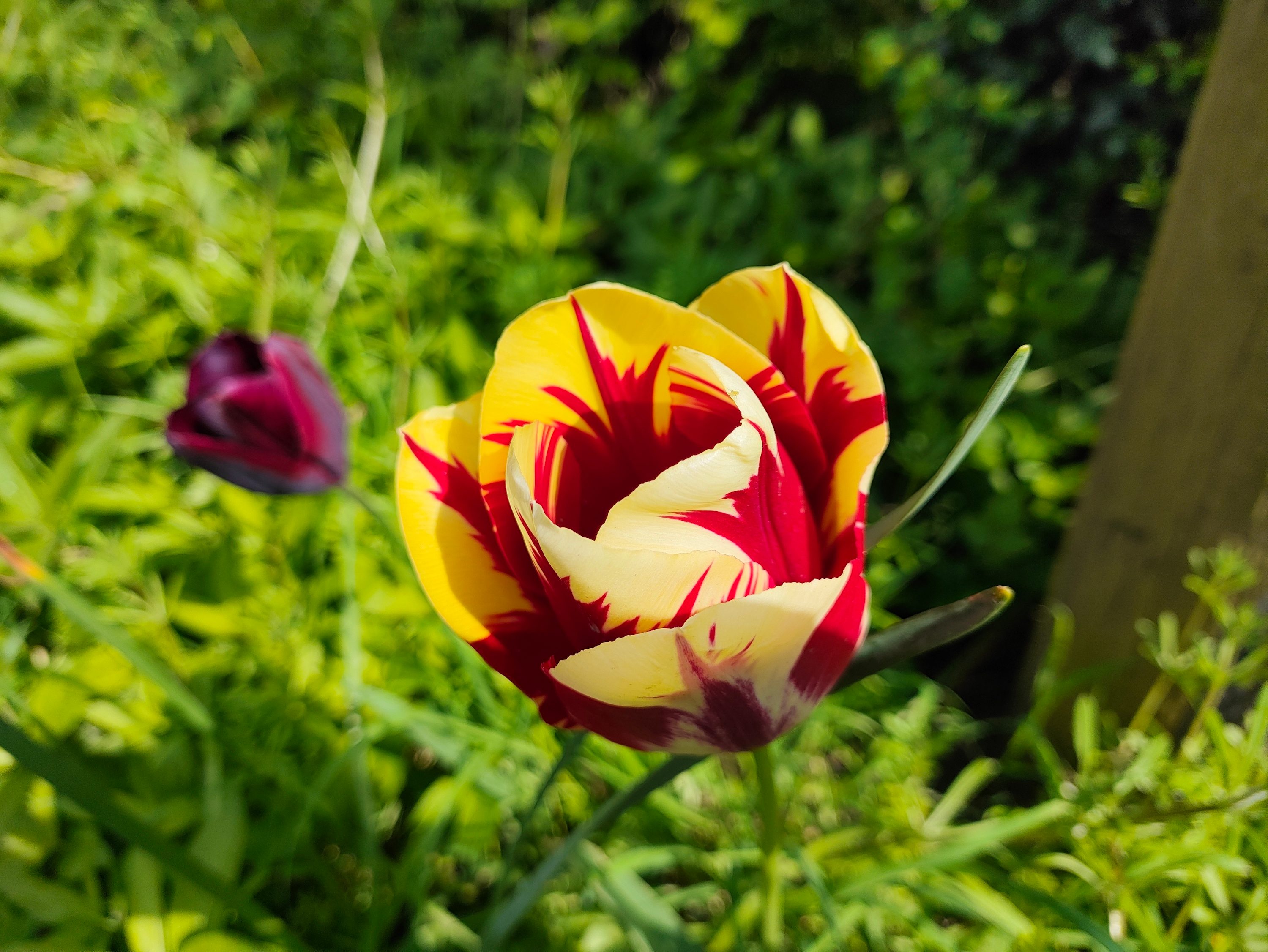 A photo taken with the Poco F5 Pro's main camera.
