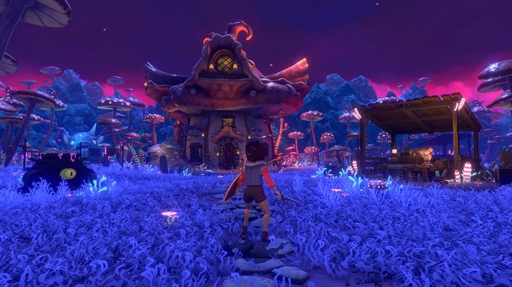The player approaches the witch's house in Ravenlok.