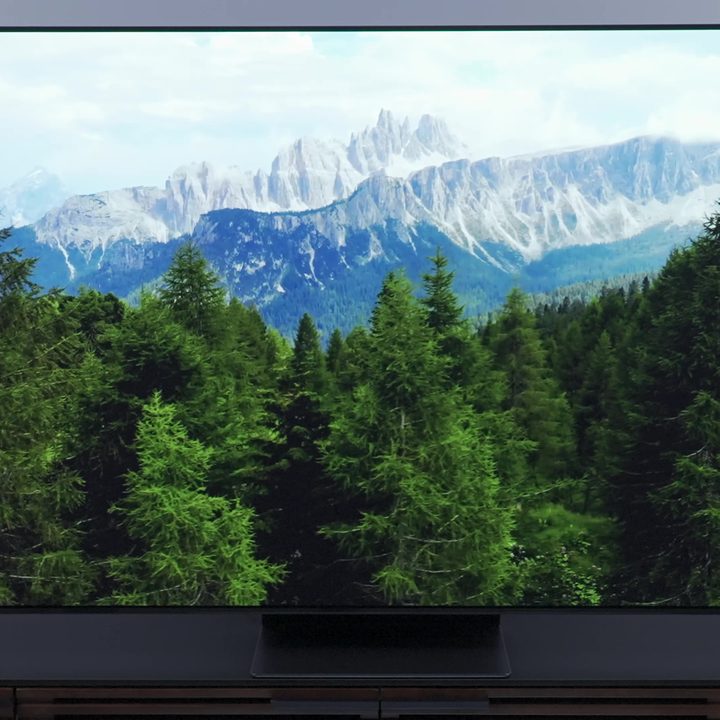 A forested foreground against a mountain backdrop on a Samsung S95C OLED TV.