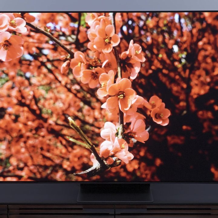 Closeups of cherry blossoms on a Samsung S95C OLED TV.