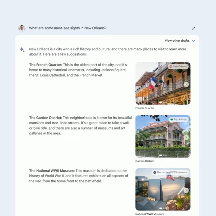 Images appearing in results in Google Bard.