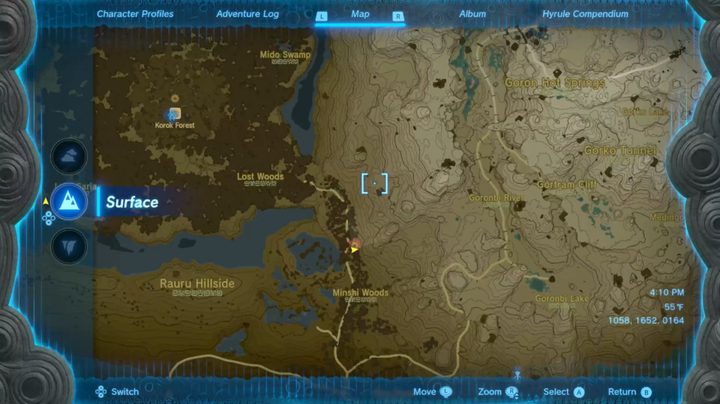 Map of Lost Woods in Tears of the Kingdom.