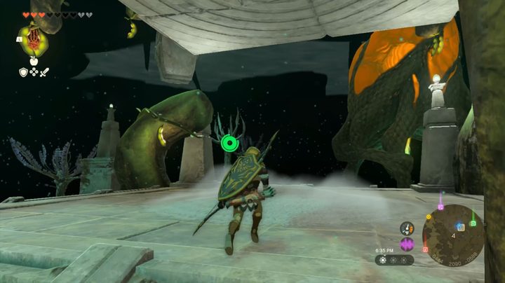 Area below Lost Woods in Tears of the Kingdom.