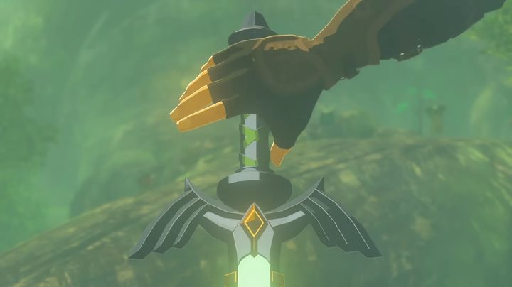 Link grabbing the Master Sword in Zelda: Tears of the Kingdom.