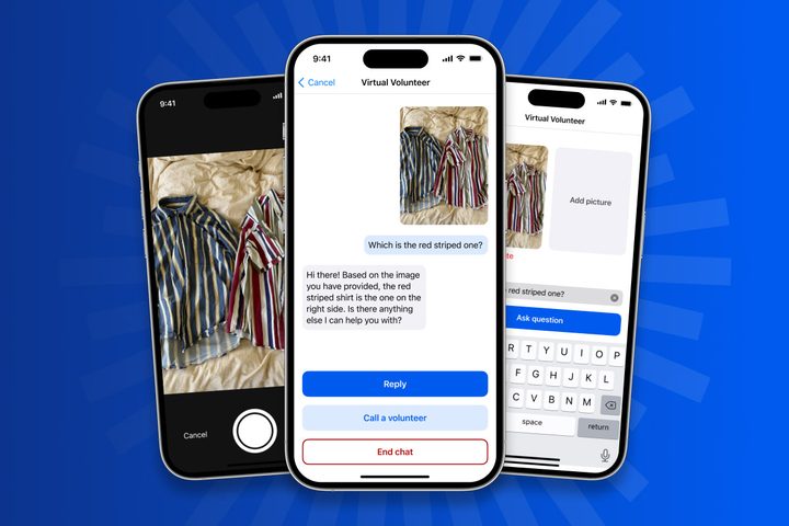 Be My Eyes application preview.