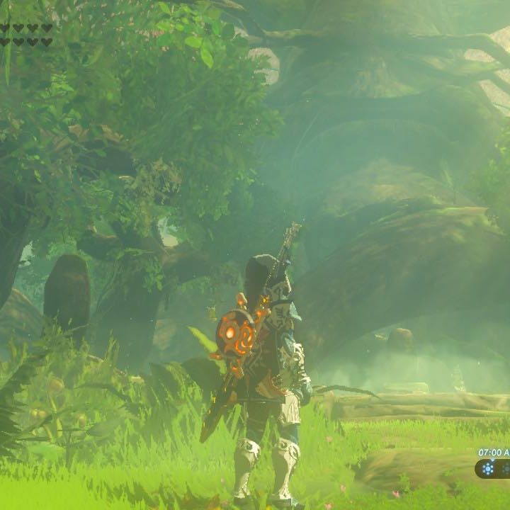 Link explores the Lost Woods in The Legend of Zelda: Breath of the Wild.
