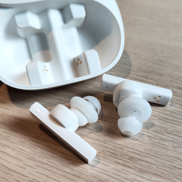Final Audio ZE8000 earbuds in front of case.