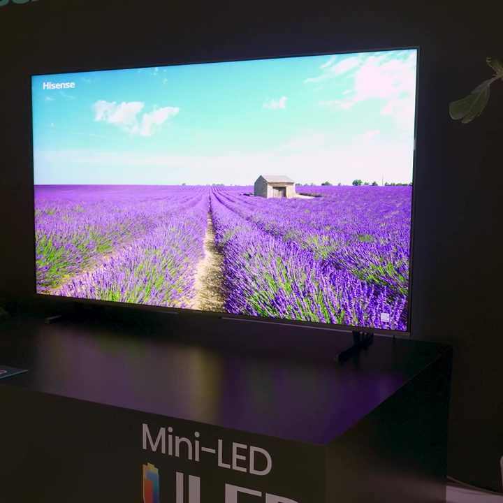 A lavender field shown on a Hisense U8K.