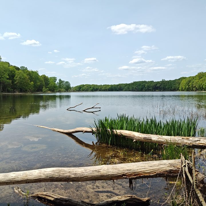 Photo of a large lake, taken with the Motorola Edge Plus (2023).
