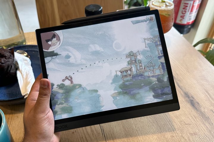 Onyx Boox Tab Ultra C Angry Birds