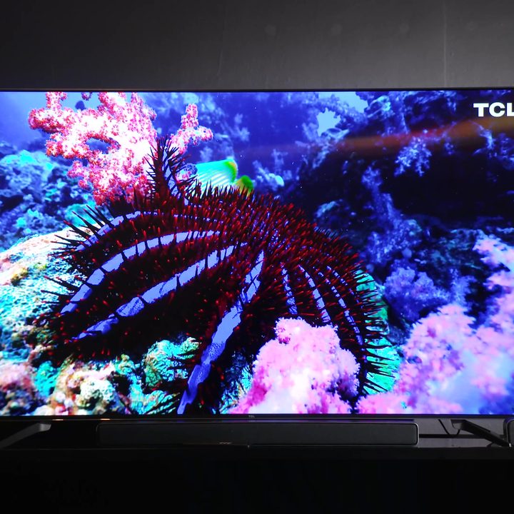 An undersea reef shown on a TCL Q7.
