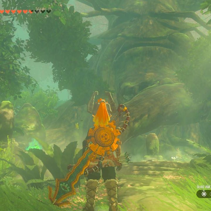Link explores the Lost Woods in The Legend of Zelda: Tears of the Kingdom.