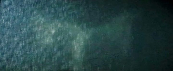 A phoenix image is seen in a lake in X2.