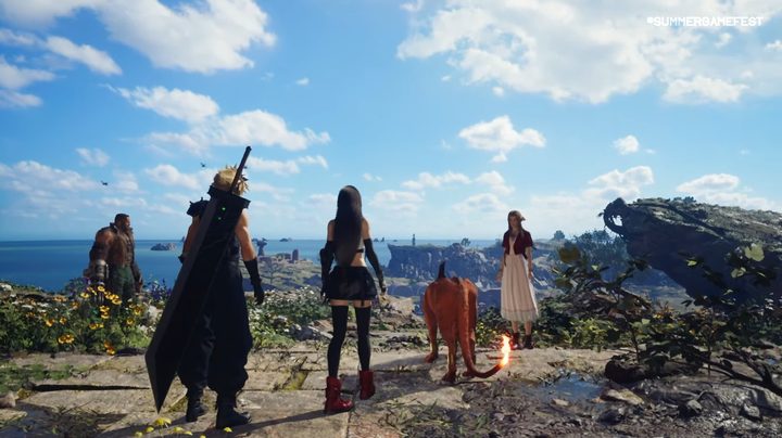 Cloud and his friends overlook a scenic field.