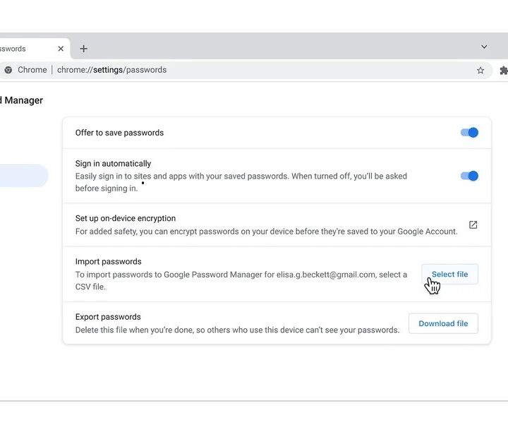 Google Password Manager layout.