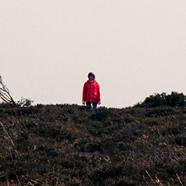 A woman in a red jacket stands in the distance on a green hill.