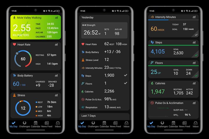 Screenshots taken from Garmin's Connect app.