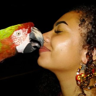 Pikachulita and a parrot.