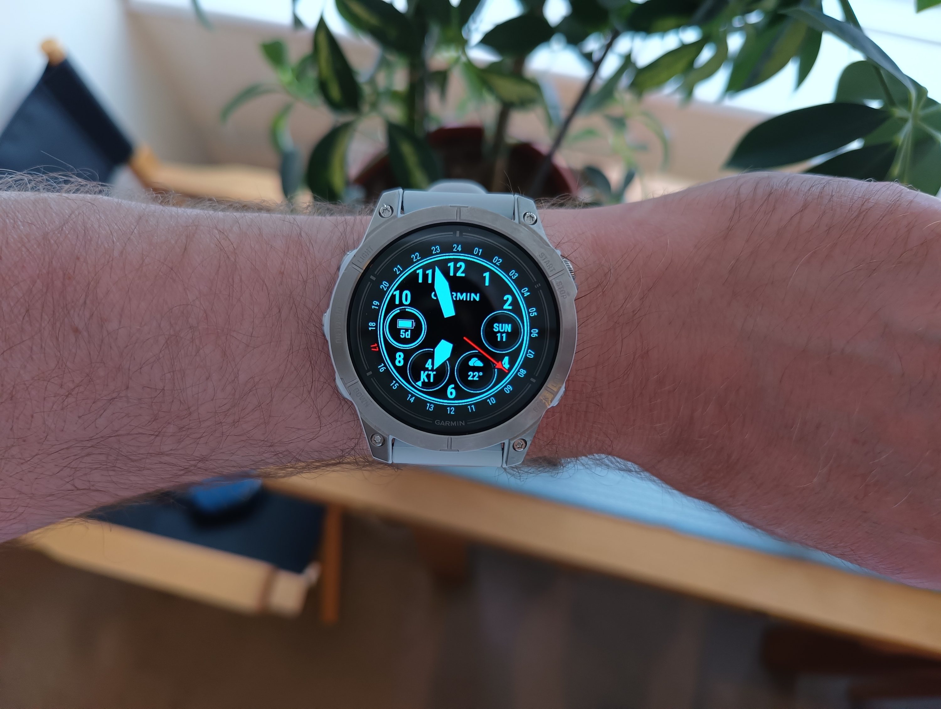 A photo taken by the Realme 11 Pro+'s main camera.