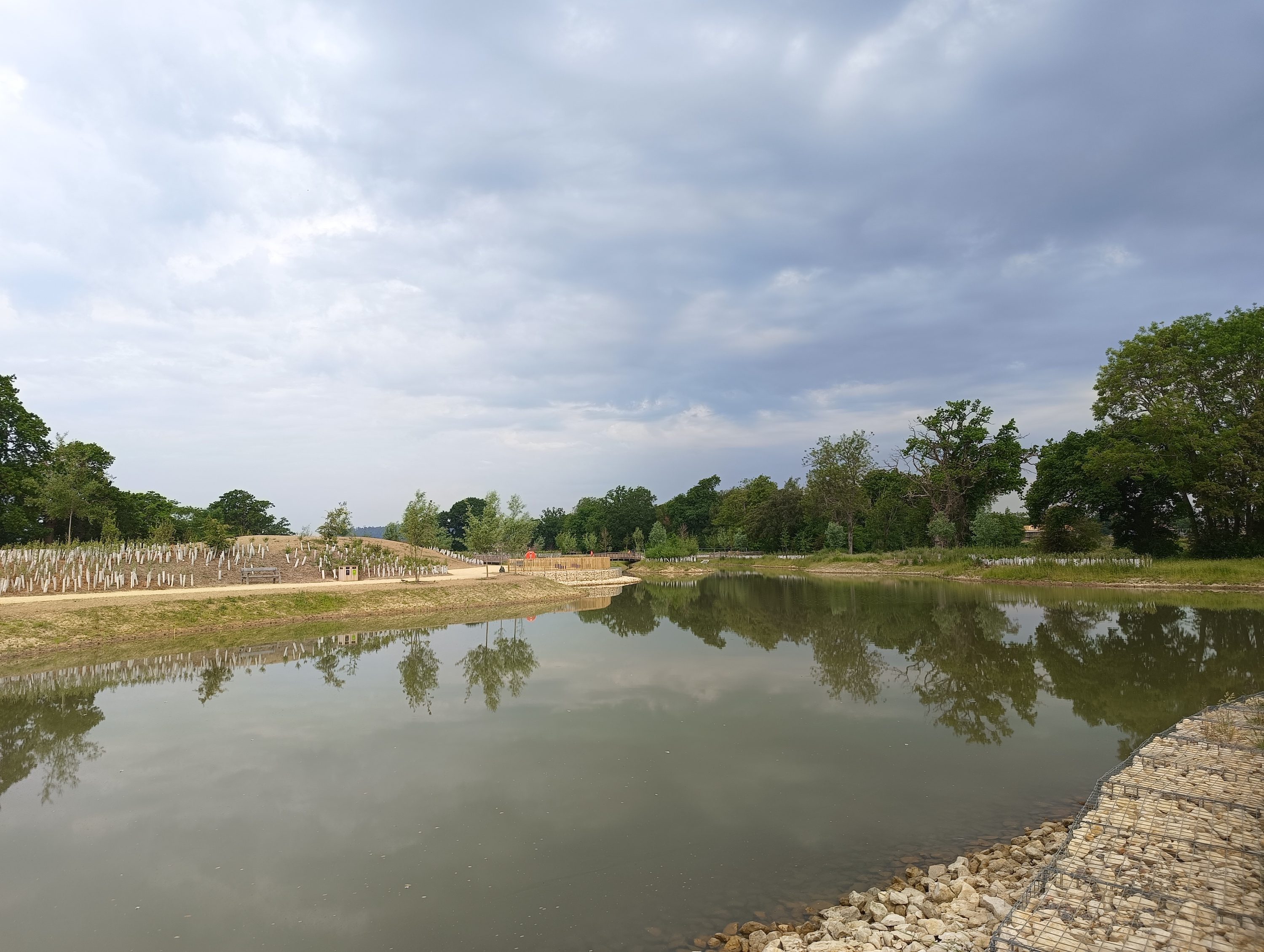 A photo taken by the Realme 11 Pro+'s main camera.