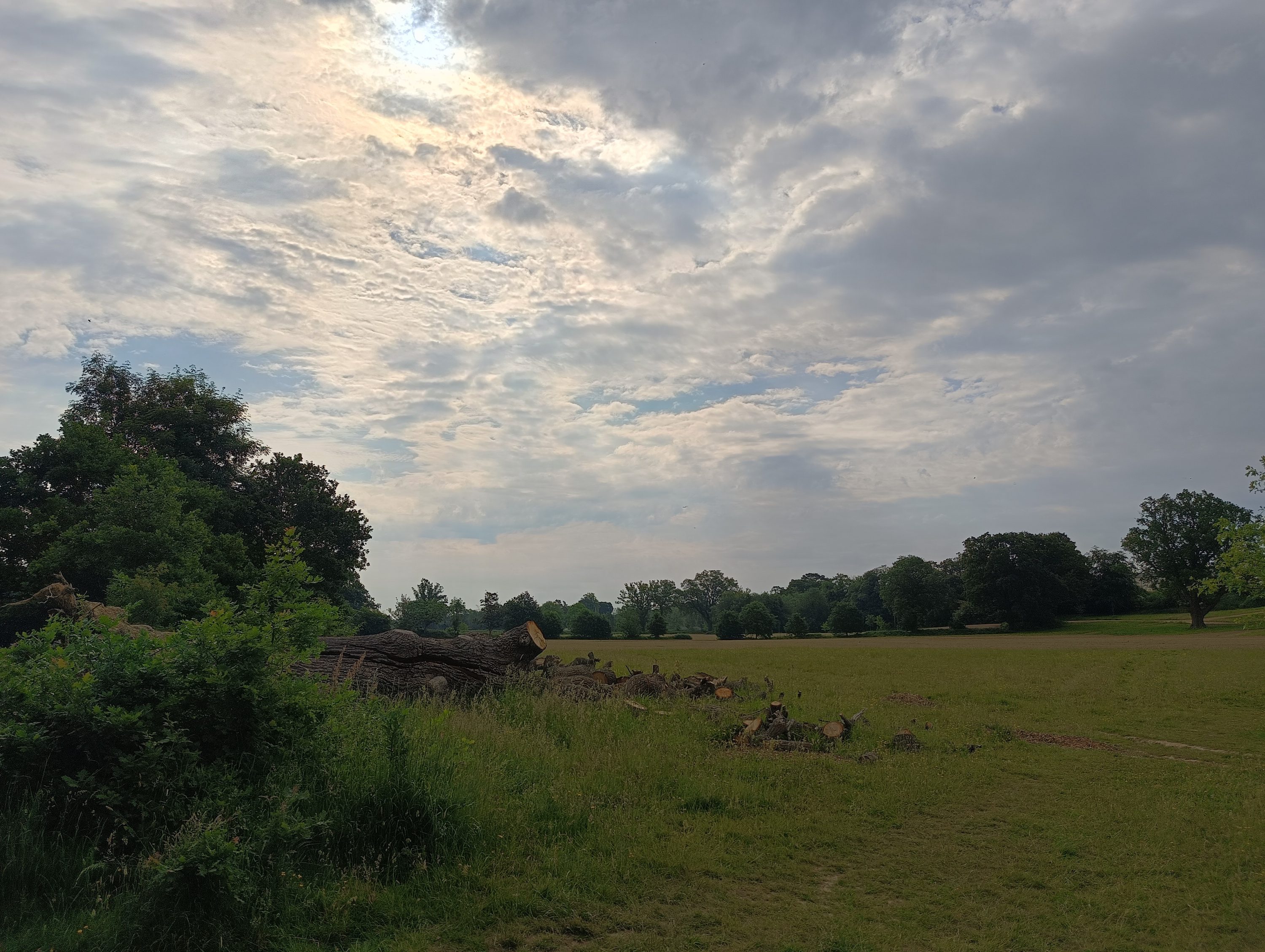 A photo taken by the Realme 11 Pro+'s main camera.