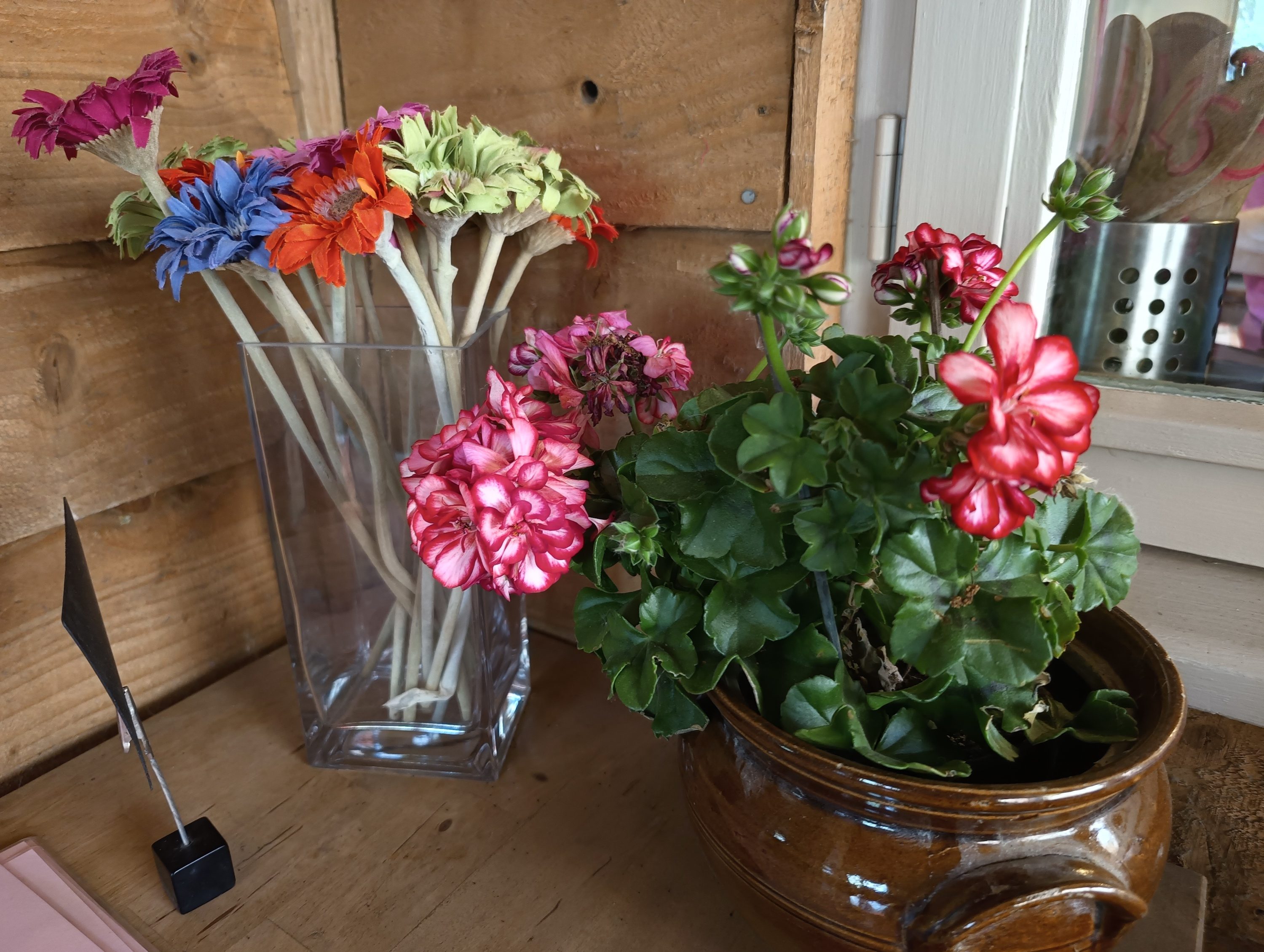 A main camera photo taken with the Realme 11 Pro+.