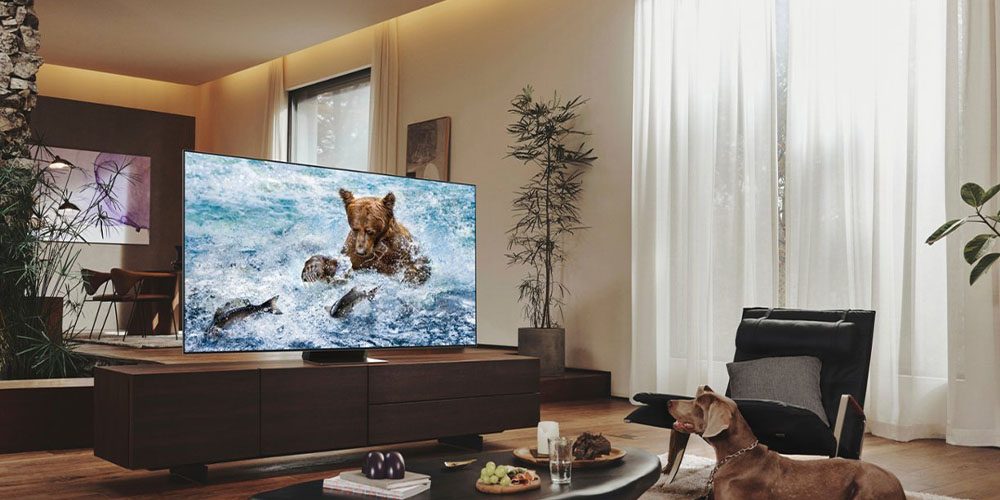 Samsung 55-inch QN700B 8K TV placed in a living room displaying a bear in a river.